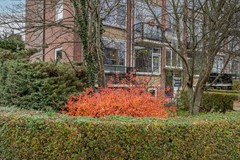 jonkheer de Savornin Lohmanstraat 44_Jonkheer de Savornin Lohmanstraat 44-32.jpg